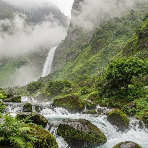 khareef season salalah