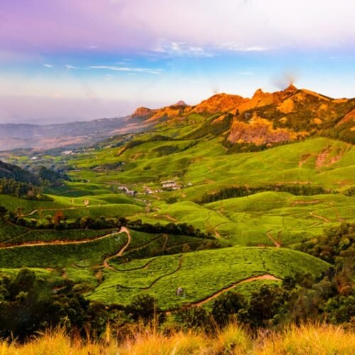 munnar