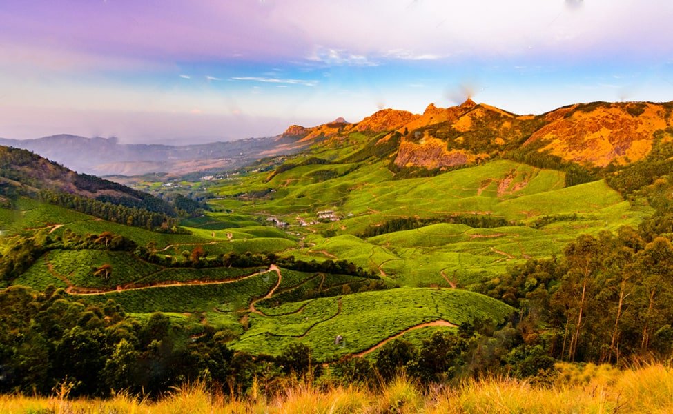 munnar