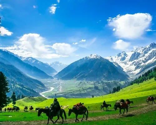 jammu